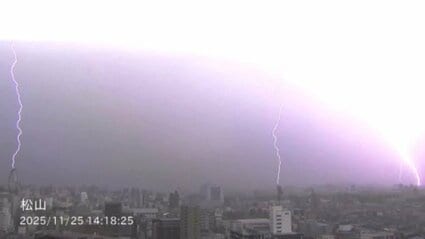 落雷が原因か 松山で工場火災 一方で交通機関にも影響 愛媛 | TBS NEWS DIG