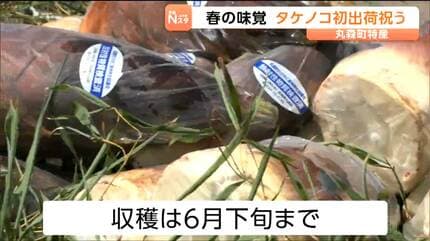 宮城・丸森町でタケノコが初出荷 「国の基準より厳しい」放射性物質の