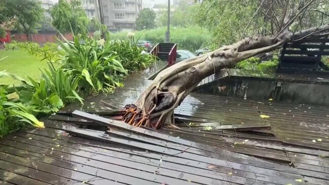 台風9号の影響 台湾で113人けが、倒木や建物損壊などの被害報告2150件以上|TBS NEWS DIG