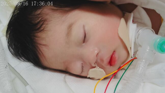 愛知県議会 過去最大額の新年度予算案を可決 妊婦の死亡事故めぐり「胎児も被害者」として認めるよう国に法整備求めた意見書も全会一致で提出へ|TBS NEWS DIG