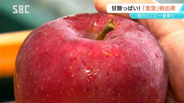 恋のように甘酸っぱい！？極早生種のリンゴ「恋空」の出荷始まる　長野・松本市|TBS NEWS DIG