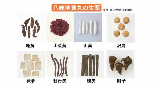 “認知機能の悪化を抑制する可能性” 漢方薬「八味地黄丸」の臨床研究へ 富山大と飛騨市がふるさと納税で資金募り、大規模検証|TBS NEWS DIG