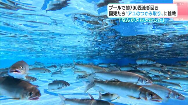 「なんかヌルヌルした」プールで約７００匹泳ぎ回る　園児たちが‘アユのつかみ取り”に挑戦|TBS NEWS DIG
