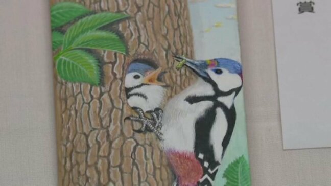 全国「かまぼこ板の絵」展覧会 6331作品の中から選ばれた入賞作品を発表 愛媛・西予市|TBS NEWS DIG