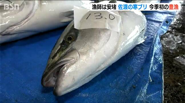 漁師はホッ　新潟県佐渡市で今季初の寒ブリ豊漁　MAXは脂が乗った13キロ|TBS NEWS DIG