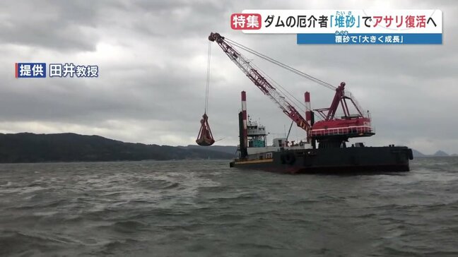 ダム底に溜まった砂〝堆砂〟　海に運んでアサリが成長！？　一石二鳥のプロジェクトをひも解く|TBS NEWS DIG
