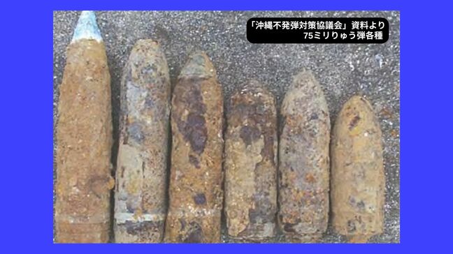 "爆発の危険性低い"不発弾集積する一時保管庫での事故 識者は情報公開求める|TBS NEWS DIG