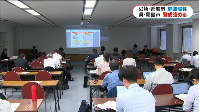 「強い危機感持っている」都城市で豚熱陽性 県が緊急防疫対策会議 鹿児島|TBS NEWS DIG