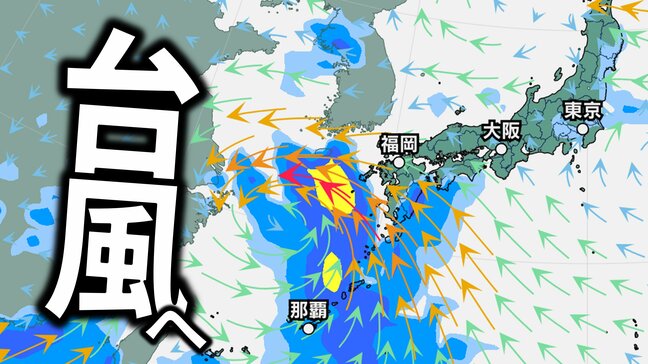 【ダブル台風】台風4号発生へ…今後の進路は?日本の南の台風のたまご=熱帯低気圧が発達の見込み【気象庁・台風情報】4日22時更新|TBS NEWS DIG