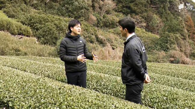  「持続可能な農業生産を」鈴木憲和農水相が静岡県の茶業を視察 関係者は国の支援に期待=静岡|TBS NEWS DIG