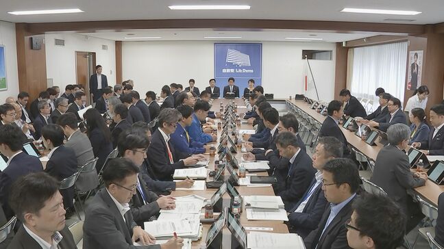 千葉豪雨受け自民党が提言案とりまとめ 駅前ロータリーなどへの雨水貯留施設設置などで政府に対し“手厚い財政支援”求める|TBS NEWS DIG