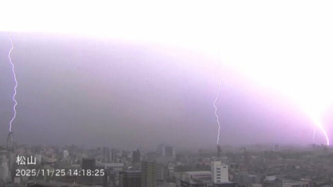 落雷が原因か 松山で工場火災 一方で交通機関にも影響 愛媛|TBS NEWS DIG