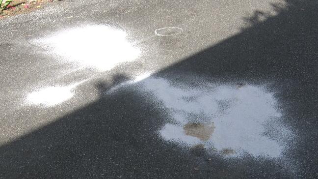 死亡ひき逃げ事件から半年　警察が情報求める　宮古島市伊良部島|TBS NEWS DIG