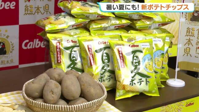 【数量限定】カルビーから熊本県産食材を使った新商品「夏ポテト天草のレモン味」が登場。玉名の新じゃがと天草レモンの酸味が夏にぴったり|TBS NEWS DIG