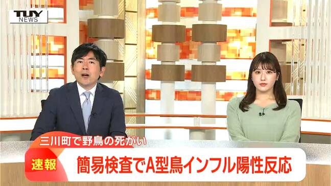 簡易検査で発覚…野鳥からA型鳥インフルエンザの陽性反応 今後遺伝子検査で高病原性か判断へ(山形)|TBS NEWS DIG