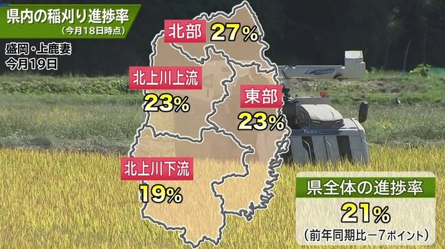 岩手県内の水稲の刈り取り21％　雨の影響で2024年より遅れ　9月18日時点|TBS NEWS DIG