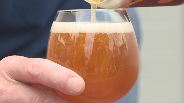 明治44年創業の老舗・礒金醸造がクラフトビール販売開始「おいしい!サーバーで飲みたい」蜂蜜・ミカン・リンゴなど山口の特産品使用|TBS NEWS DIG