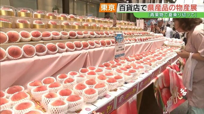 県産モモ、1500個ズラリ！新宿高島屋で「ふくしまの桃まつり」開催|TBS NEWS DIG