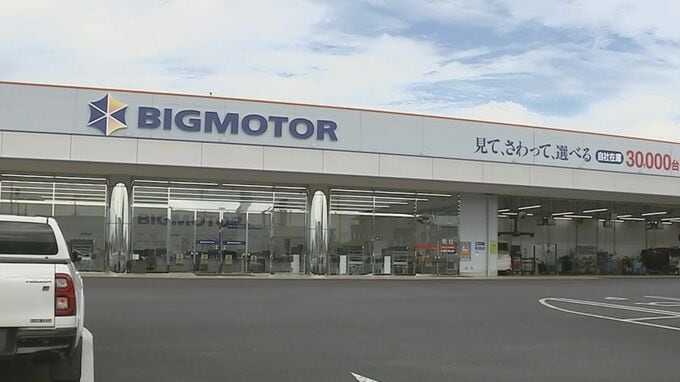 茨城県内のビッグモーター3店舗の前の街路樹が枯れる　今後ビッグモーターにヒアリング実施予定|TBS NEWS DIG