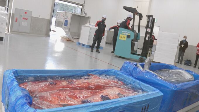 JALグループ・新たな物流サービス開始「輸出手続きを一元化し生鮮食品を海外へ」|TBS NEWS DIG