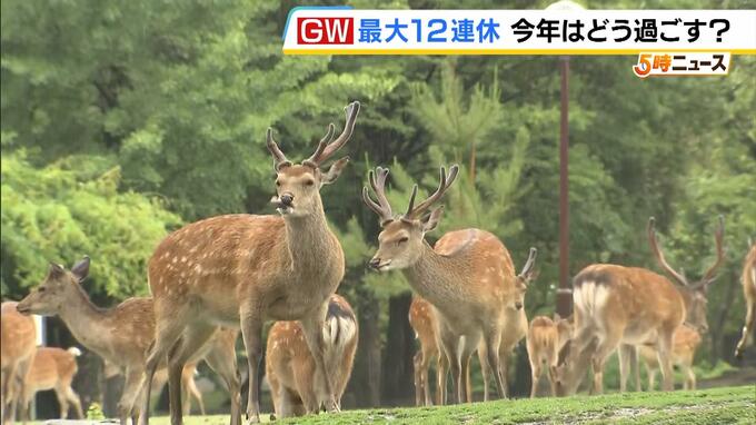 今年のGWは奈良がオススメ!?旅行アナリスト・鳥海高太朗氏「夜やホテルの課題が解消されつつある」　寺社仏閣だけでなく新スポット「奈良監獄ミュージアム」もオープンへ|TBS NEWS DIG