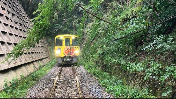 JR土讃線　徳島県内の倒木の影響で一時運転見合わせ 14日午後4時14分ごろ運転再開　特急列車上下4本が部分運休|TBS NEWS DIG