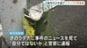 「人をひいたかもしれない」トラック運転手が110番通報　現場には別の車の部品が散乱　複数台にひかれ最初にひいた車は逃走か　死亡ひき逃げ事件で捜査　警視庁|TBS NEWS DIG