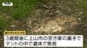 発見時は腐敗し...遺体で発見された少女　山間部の空き家の裏手で発見　容疑者は過去 "わいせつ行為" をし "自殺する手助け"　現場写真も（山形）　|　山形のニュース│TUYテレビユー山形