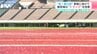 「高知県内の陸上競技の発展にもつながっていければ」“第１種公認”更新へ　春野総合運動公園陸上競技場　経年劣化の“トラック”を改修　|　高知のニュース・天気｜KUTV NEWS | KUTVテレビ高知