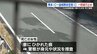 九州自動車道「人か何かが寝ているか、転がっている」〝ひかれた痕〟女性死亡　約6時間の通行止め　　|　熊本のニュース｜RKK NEWS｜RKK熊本放送