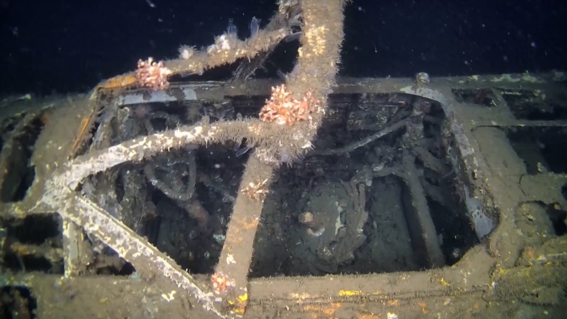 戦後80年で鹿児島湾で新発見された旧日本軍機 「沖縄特攻」で