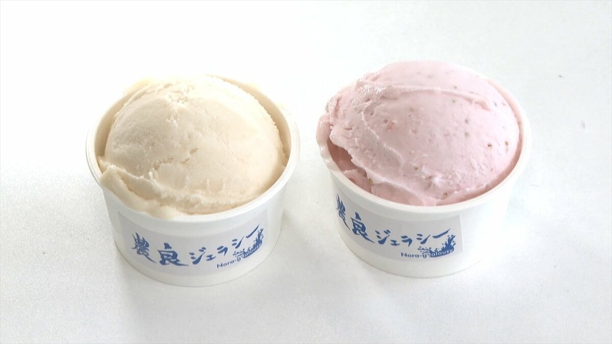 酪農現場でほとんどが廃棄される“ホエイ”　規格外フルーツと合わせてジェラートに　山梨・KEIPE