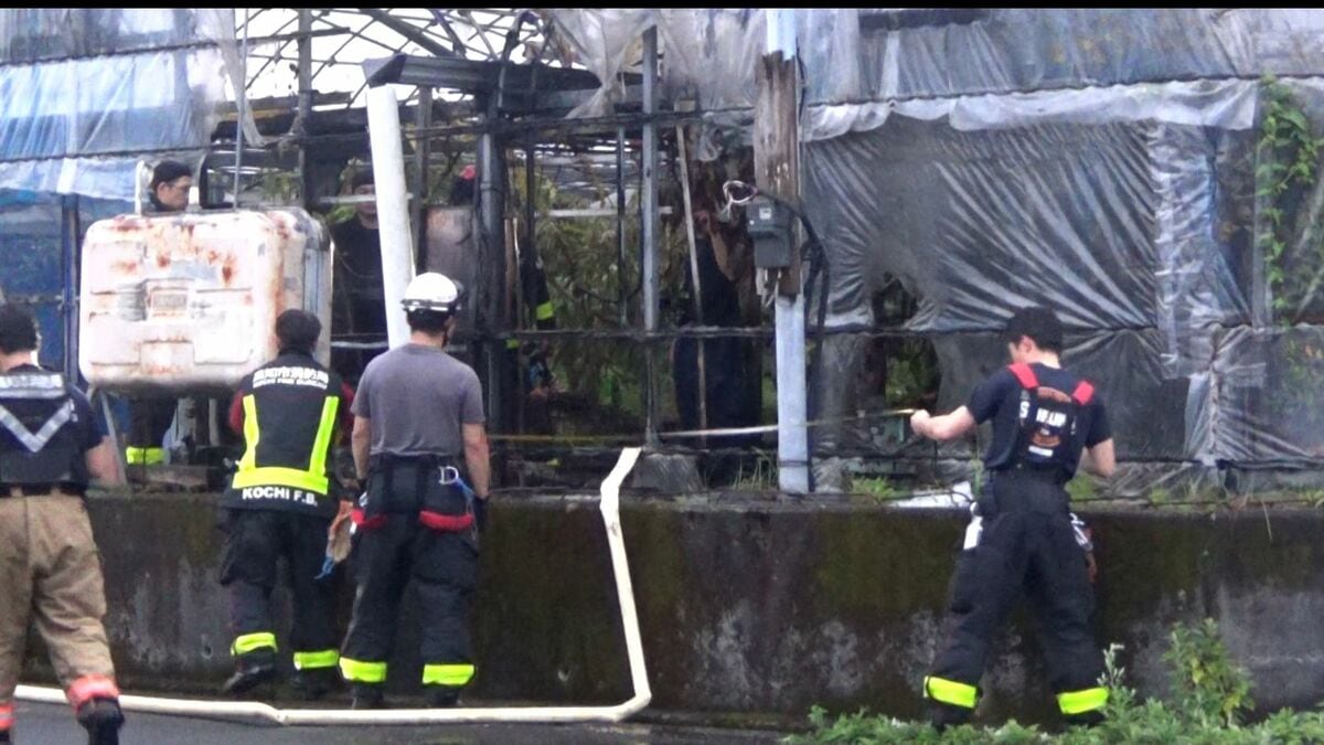 早朝にビニールハウスの一部を焼く火事　けが人なし　警察「漏電によるものかとの報告受けている」【高知】　