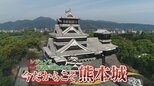 崩れた7万個 "石垣の声"を聴き元に戻す果てなき挑戦　城好きプロレスラー藤波辰爾が見た熊本城復旧の最前線①|TBS NEWS DIG