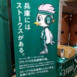 【Bリーグ】西宮ストークス 神戸へ移転前に有終の美飾れるか「昇格だけ意識して最後の勝負!」念願のB1復帰へ 道原選手「この体育館で戦ってきたので寂しい気持ちもある」|TBS NEWS DIG