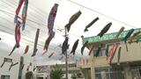 古い着物で手作りした「鯉のぼり」お披露目　うるま市　|　沖縄のニュース｜RBC 琉球放送