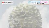 ソフトクリーム界のフェラーリで作る「究極のくちどけ」全国のアイスが集結！アイスクリーム万博「あいぱく」の魅力|TBS NEWS DIG