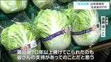 仙台白菜「塩害には強いという特長」で生産伸ばした意外な場所　葉が肉厚で柔らかく甘みが強いのが特徴　|　宮城のニュース│tbc NEWS│tbc東北放送