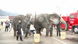 ゾウが鼻から放水 サーカス団が公演先で消防訓練 園児らから大きな歓声 北九州市 | 福岡のニュース|RKB NEWS|RKB毎日放送