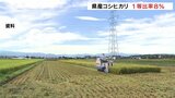 猛暑による影響か 8月までの県産コシヒカリの一等米比率わずか8% 富山|TBS NEWS DIG