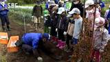 「今年も大きくなりました」実りの秋・須坂の子どもたちが野菜の収穫を体験|TBS NEWS DIG