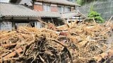 2022年の豪雨で押し寄せた流木は「復興の証」だった 新潟・村上の災害が教える“植えるだけで終わらない”森の手入れ【森を守ること・第4話】 | 新潟のニュース・天気|BSN NEWS|BSN新潟放送