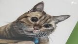 色鉛筆で生み出すリアル SNSで人気の色鉛筆作家による特別展開幕=静岡県浜松市 | 静岡のニュース | SBSNEWS | 静岡放送