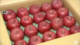 青森県産が９割の国産リンゴ輸出量・６年連続で３万トンを突破　「春節」早く輸出前倒し　輸出額は過去最高更新|TBS NEWS DIG