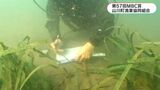 第57回MBC賞に2団体・1個人決まる | 鹿児島のニュース|MBC NEWS|南日本放送