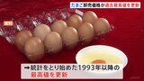 “物価の優等生”たまごの卸売価格が過去最高値を更新…鳥インフルエンザによる鶏の殺処分が影響…今シーズンはすでに1100万羽以上の採卵鶏が殺処分|TBS NEWS DIG