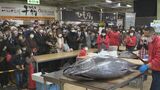 初日はマグロ解体で大賑わい！金沢港いきいき魚市の24周年祭は3月21日まで　|　石川県のニュース｜MRO北陸放送