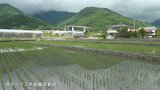 不思議な生き物 この時期だけ田んぼに現れる “豊作の使者”|TBS NEWS DIG
