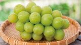 岡山県産品を購入すると「最大20%還元」きょうから来年2月までキャンペーン【晴れの国おかやま館】 | 岡山・香川のニュース | 天気 | RSK山陽放送