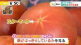 プロ直伝！おいしく夏を乗り切る「夏食材の目利き」の極意　|　山口のニュース・天気・防災｜tys NEWS｜ｔｙｓテレビ山口